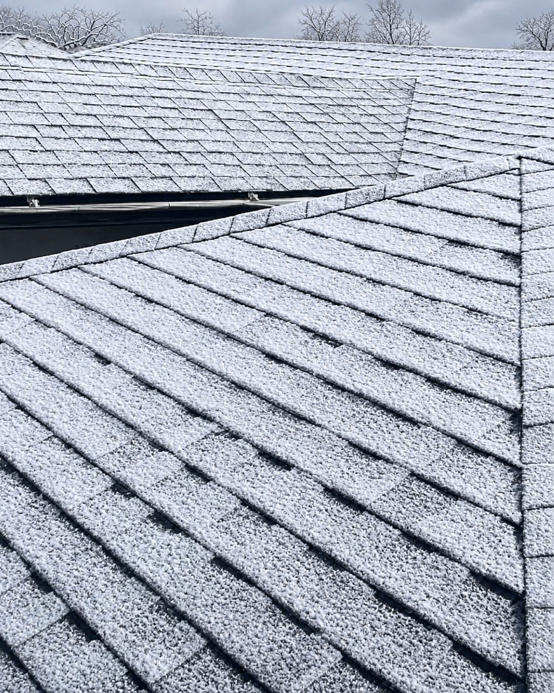 Architectural asphalt shingle roof designed for New England weather on a Massachusetts home.