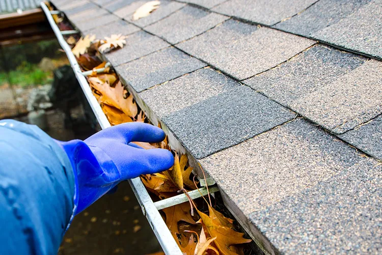 Roofing professional wearing blue gloves cleaning autumn leaves out of a residential gutter